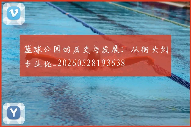 篮球公园的历史与发展:从街头到专业化_20260528193638
